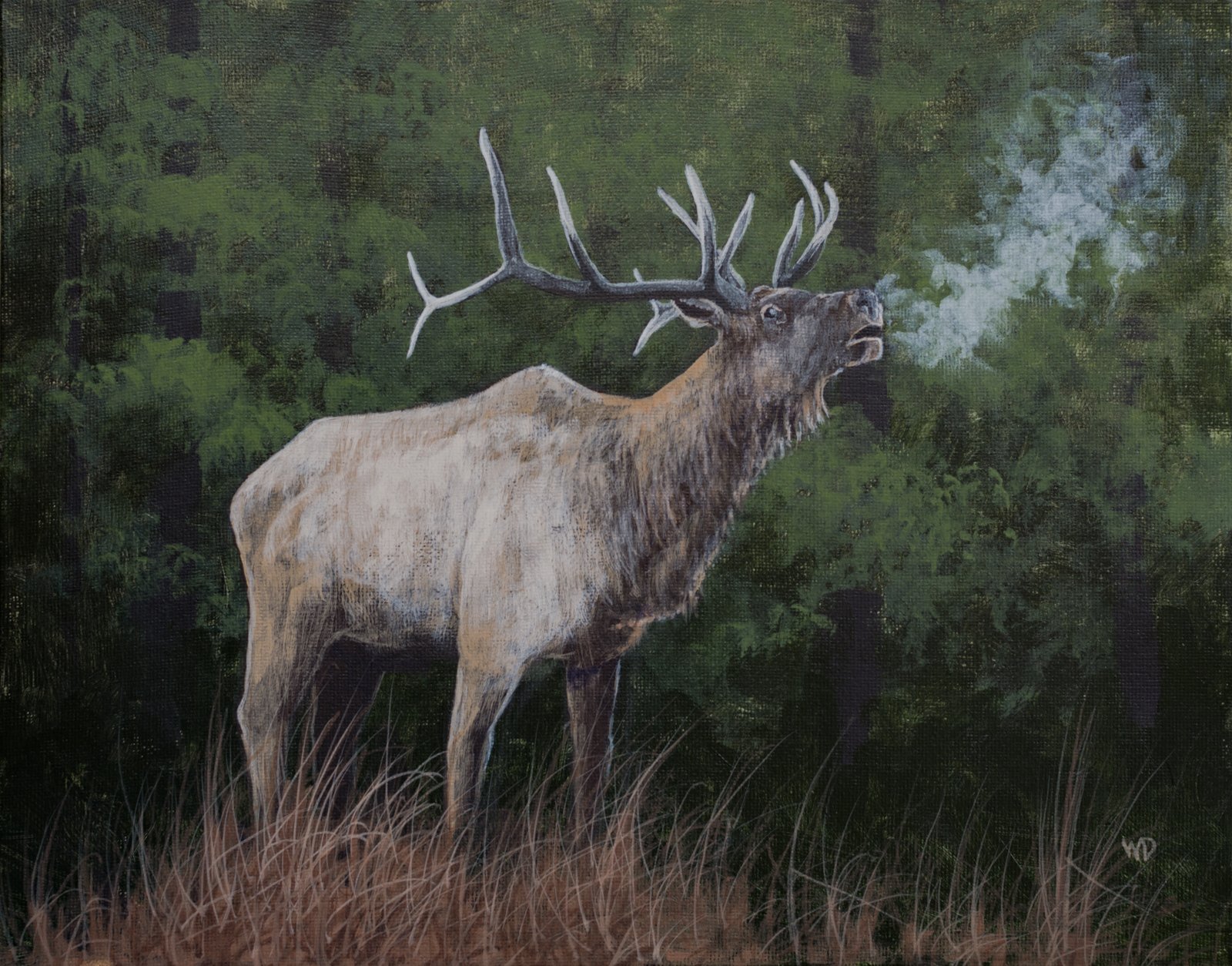 elk-commission-no-watermark copy.jpg