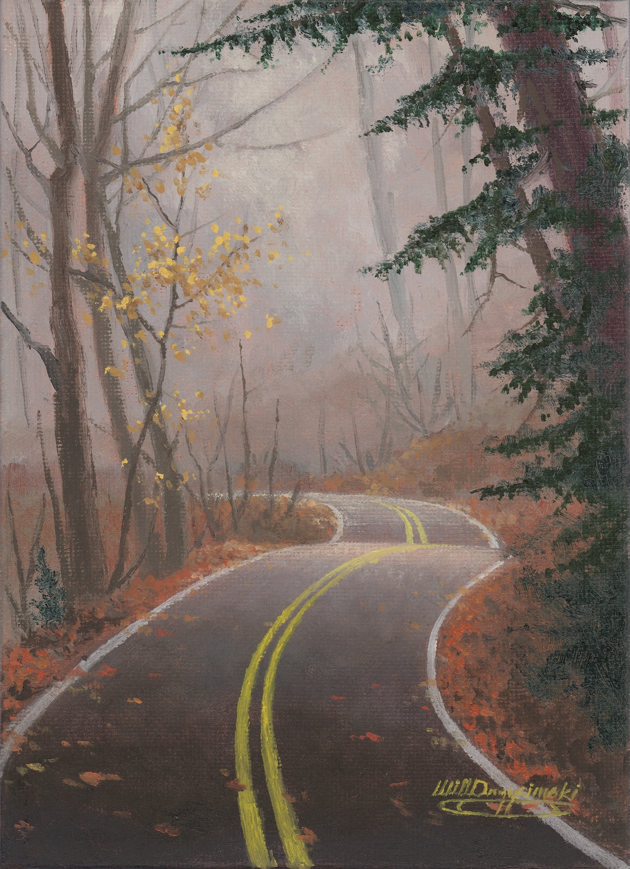 winding road between winter trees with evergreen leaning over fall leaves on ground.