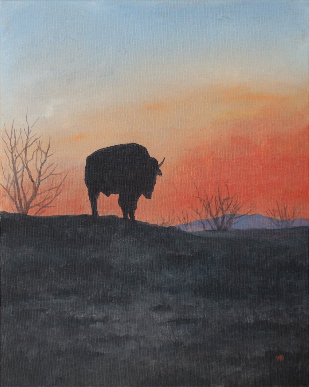 Bison 1 copy.jpg