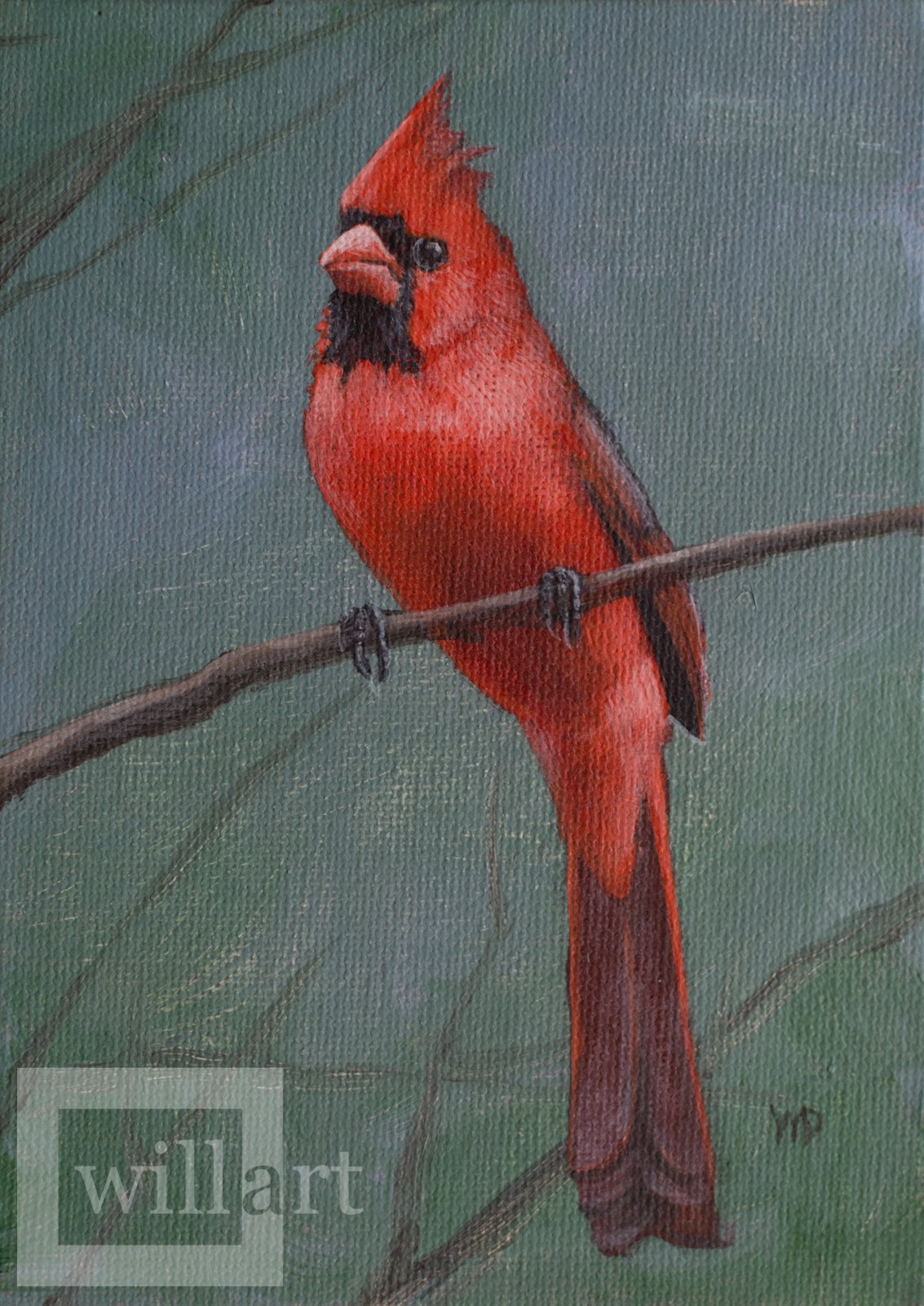 cardinal on branch