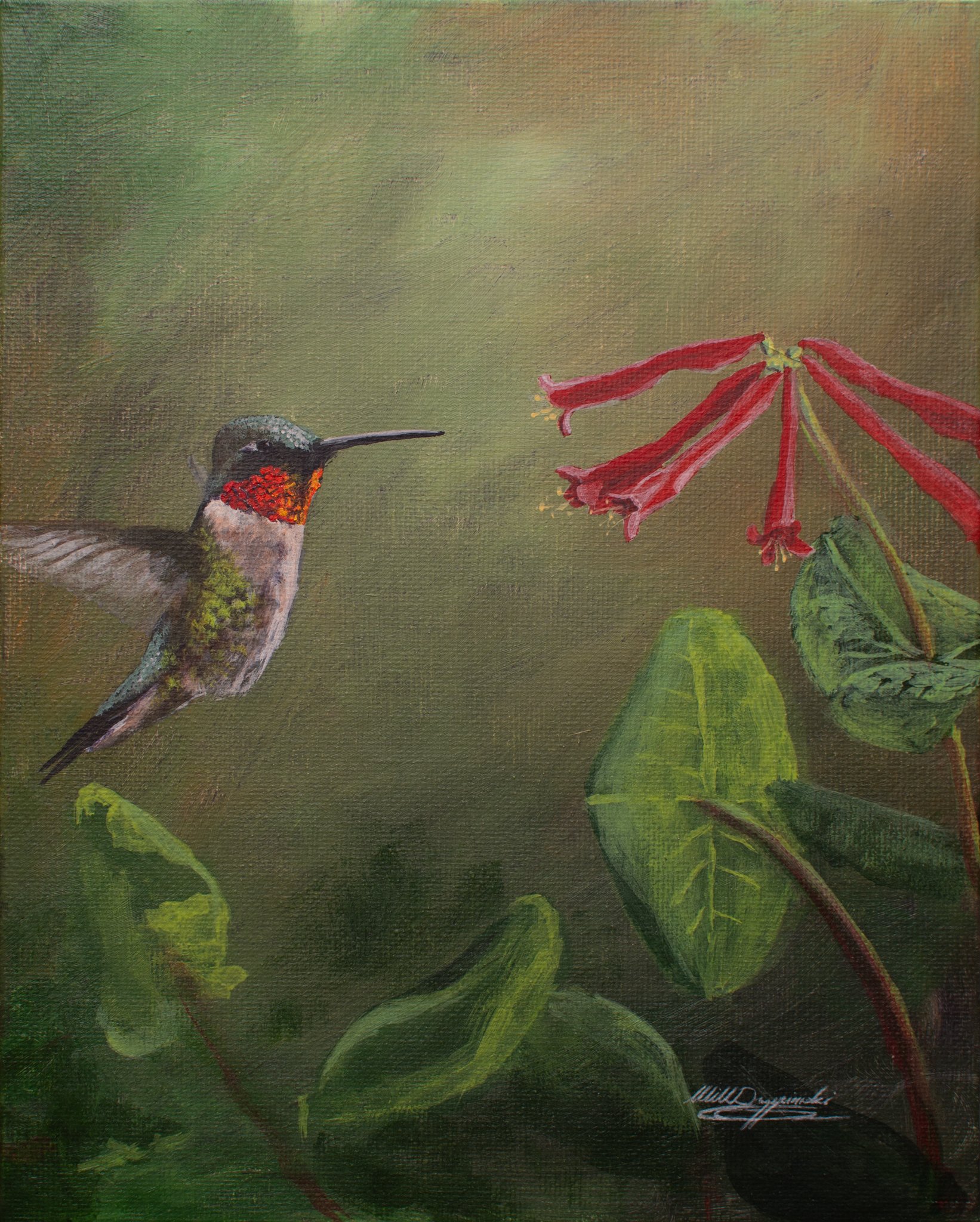 humming bird hovers near red flowers