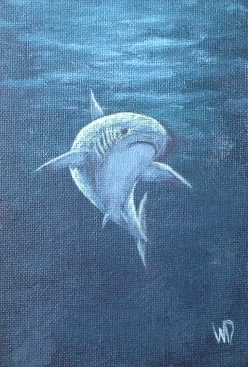 Moonlit Shark copy.jpg