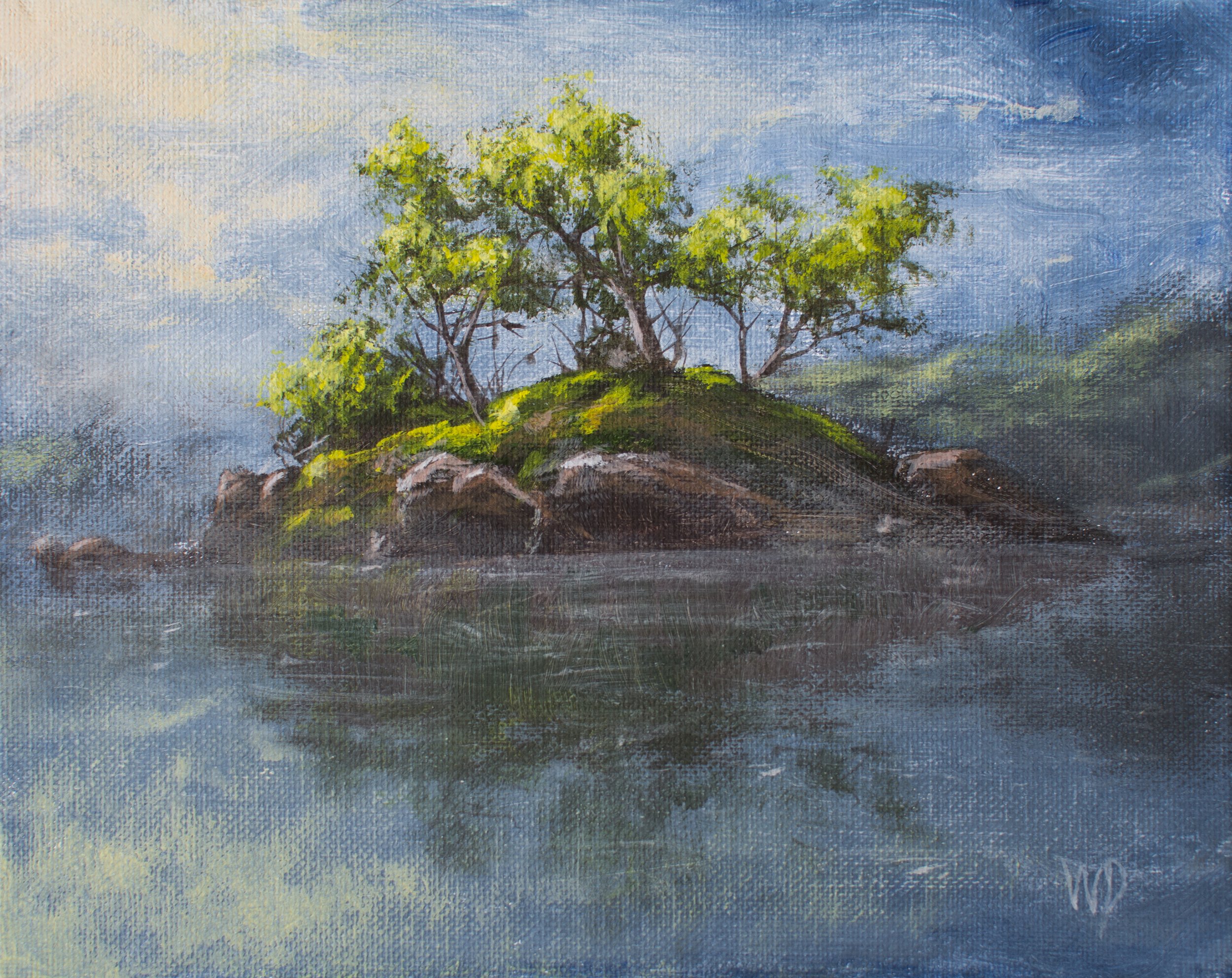 green trees on island in calm lake