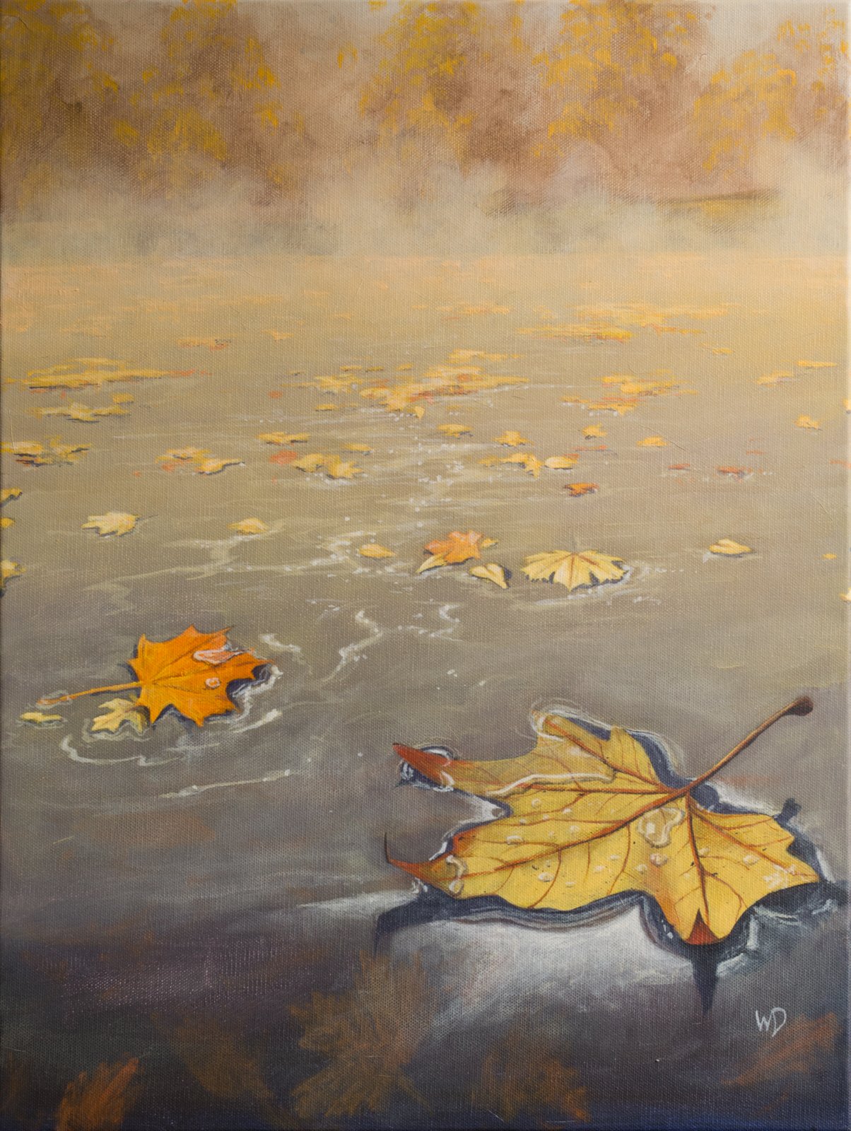 fall leaves yellow and orange float on water