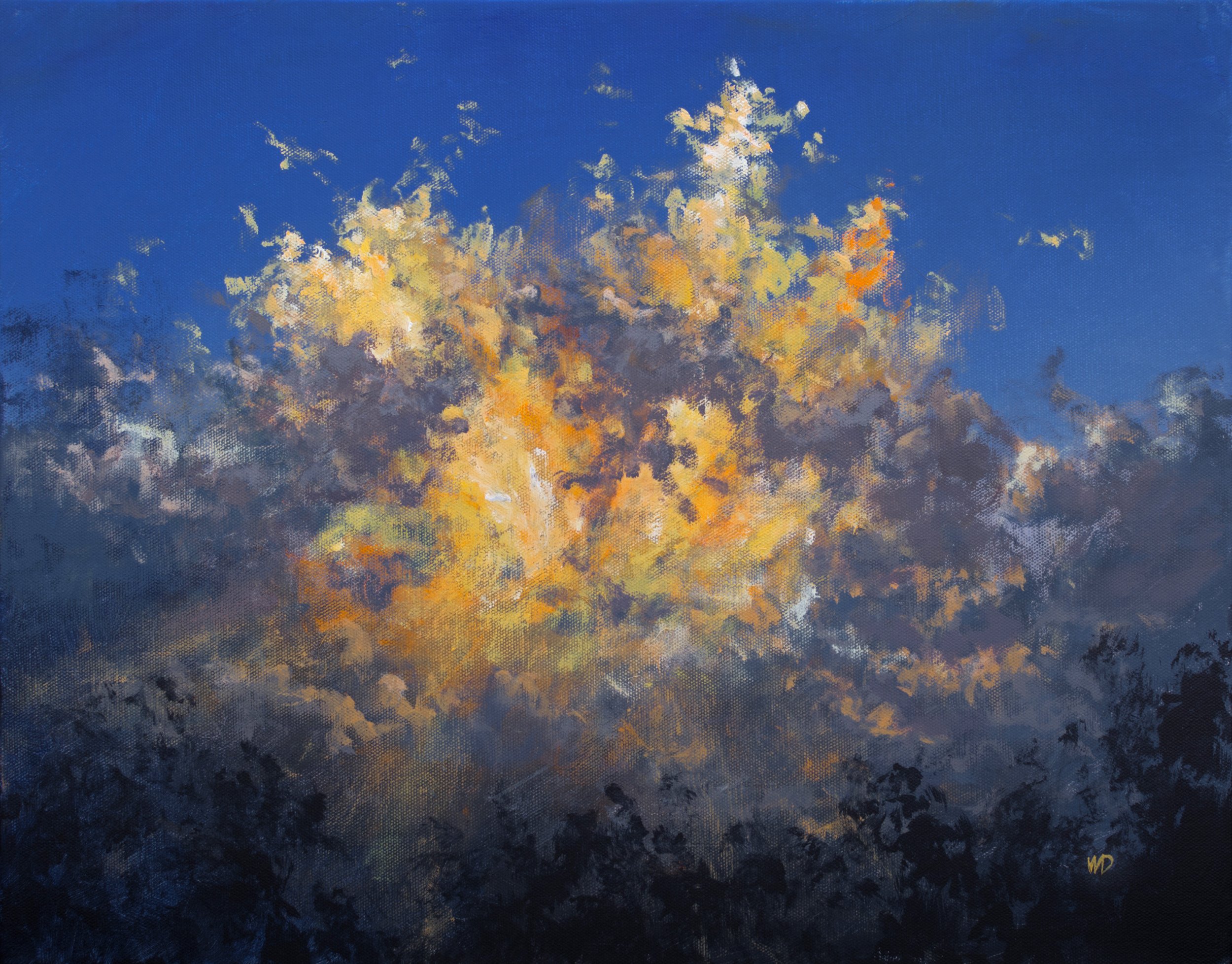 sun-in-the-clouds.jpg