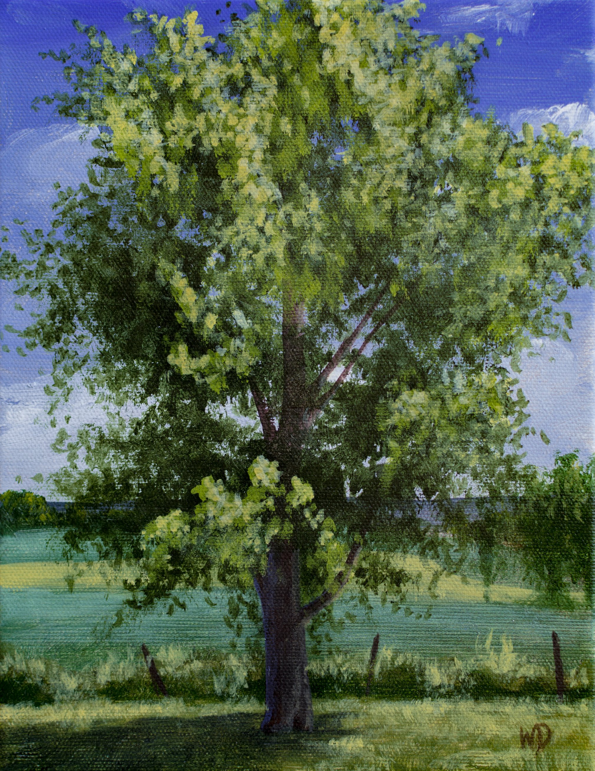 green summer tree fields