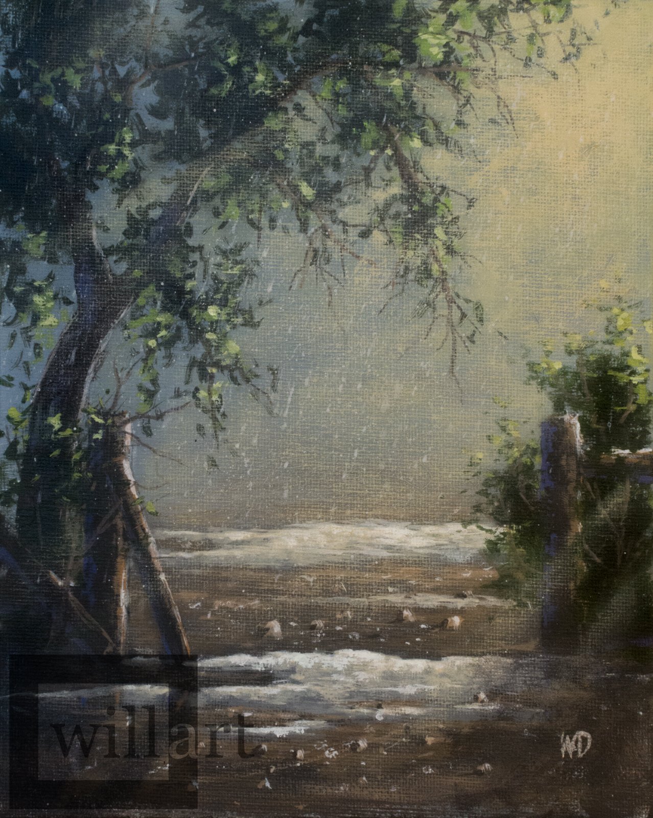 sun through falling rain leaning tree by wooden gate posts muddy ground