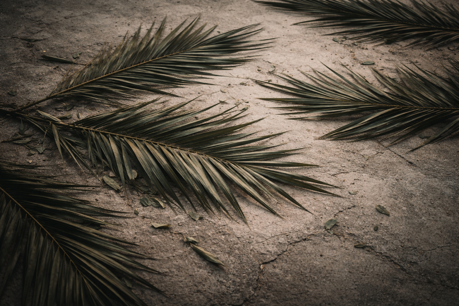 Somme-nous #TeamJesus ?