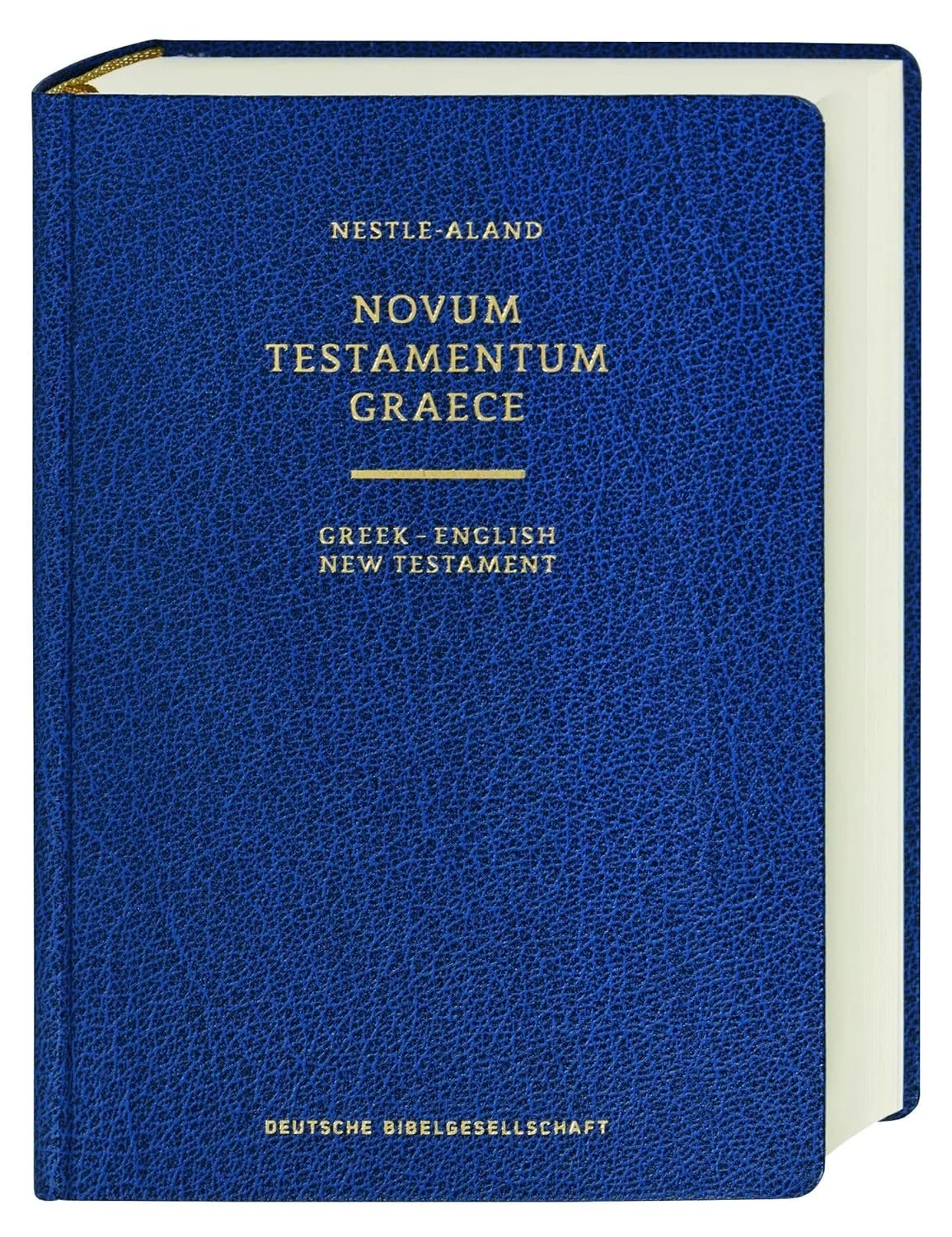 nestle alland 28.jpg
