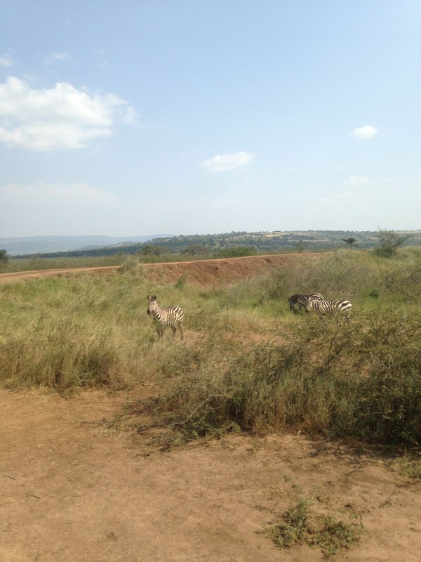 anne-frank-project-blog-rwanda-2019-lucas-colon-slideshow-1-image-23.jpeg