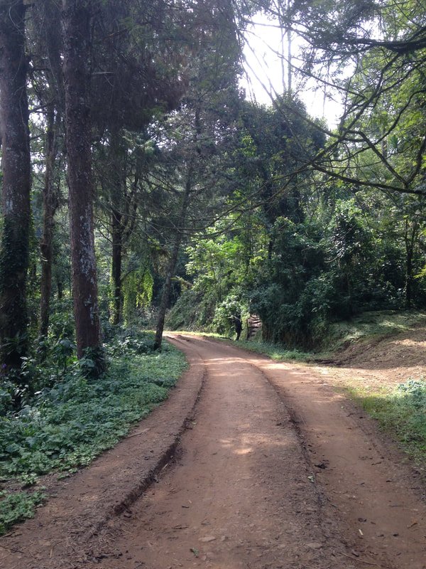 anne-frank-project-blog-rwanda-2019-lucas-colon-slideshow-2-image-4.jpeg