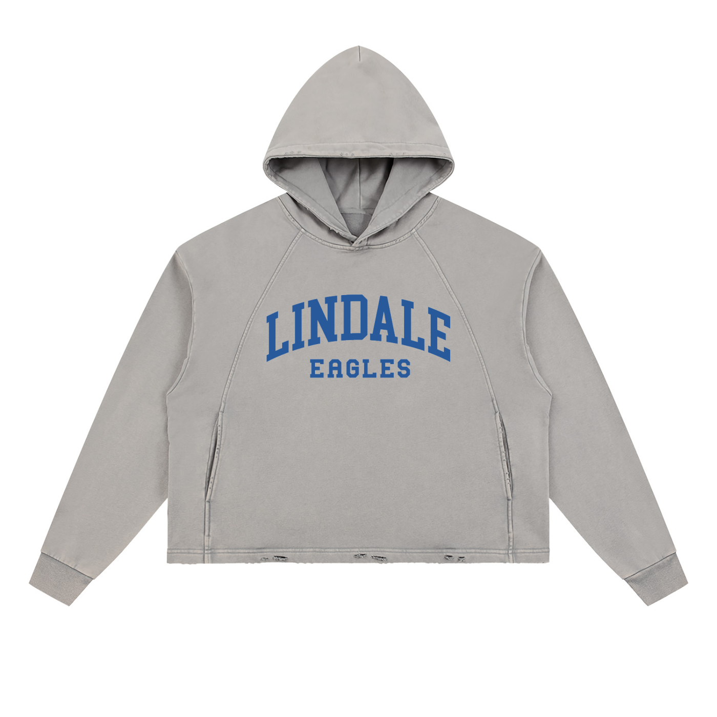 vintage gray hoodie.png