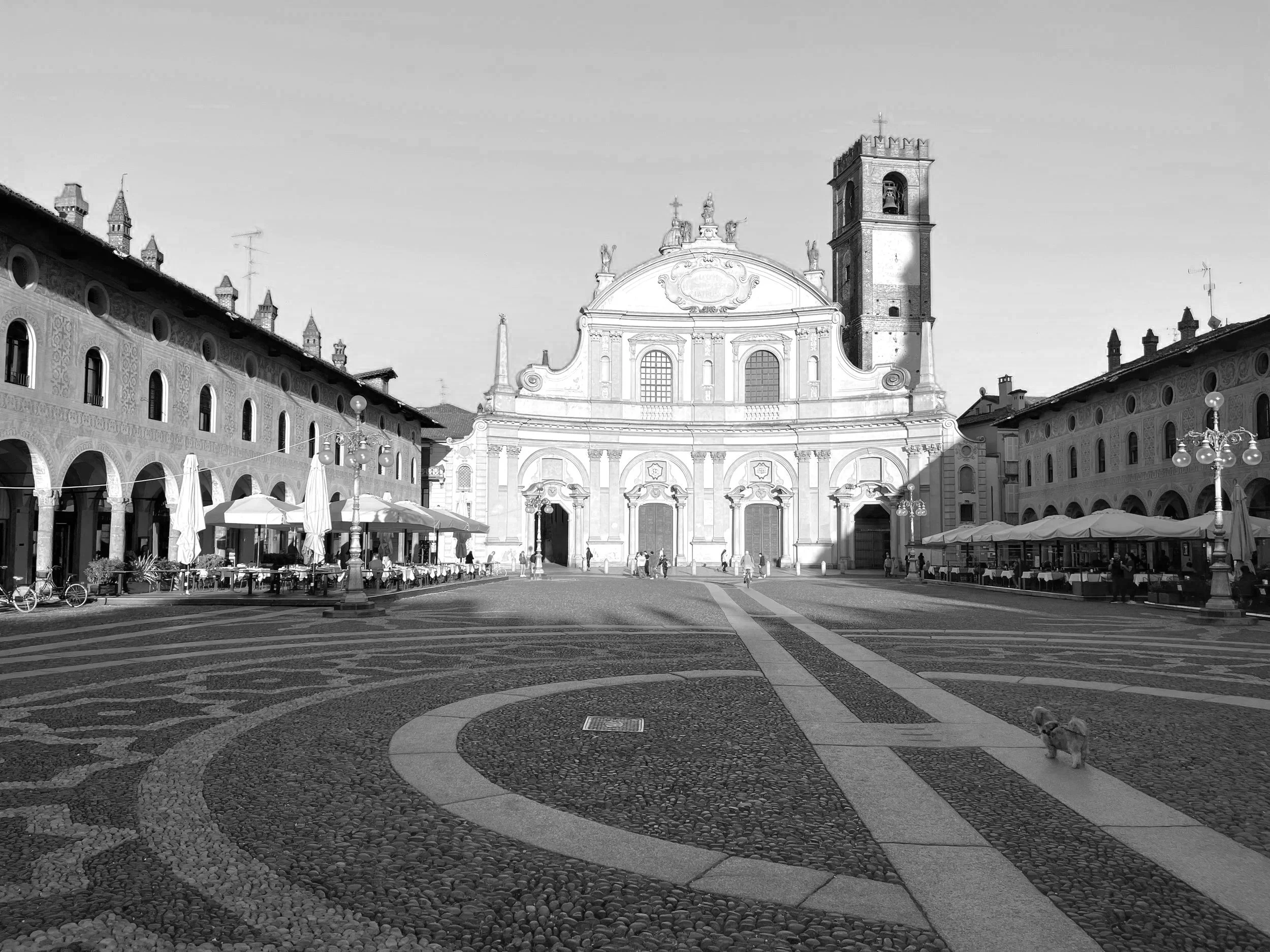 Cheetah Stories Vigevano Where the Brand Took its First Steps