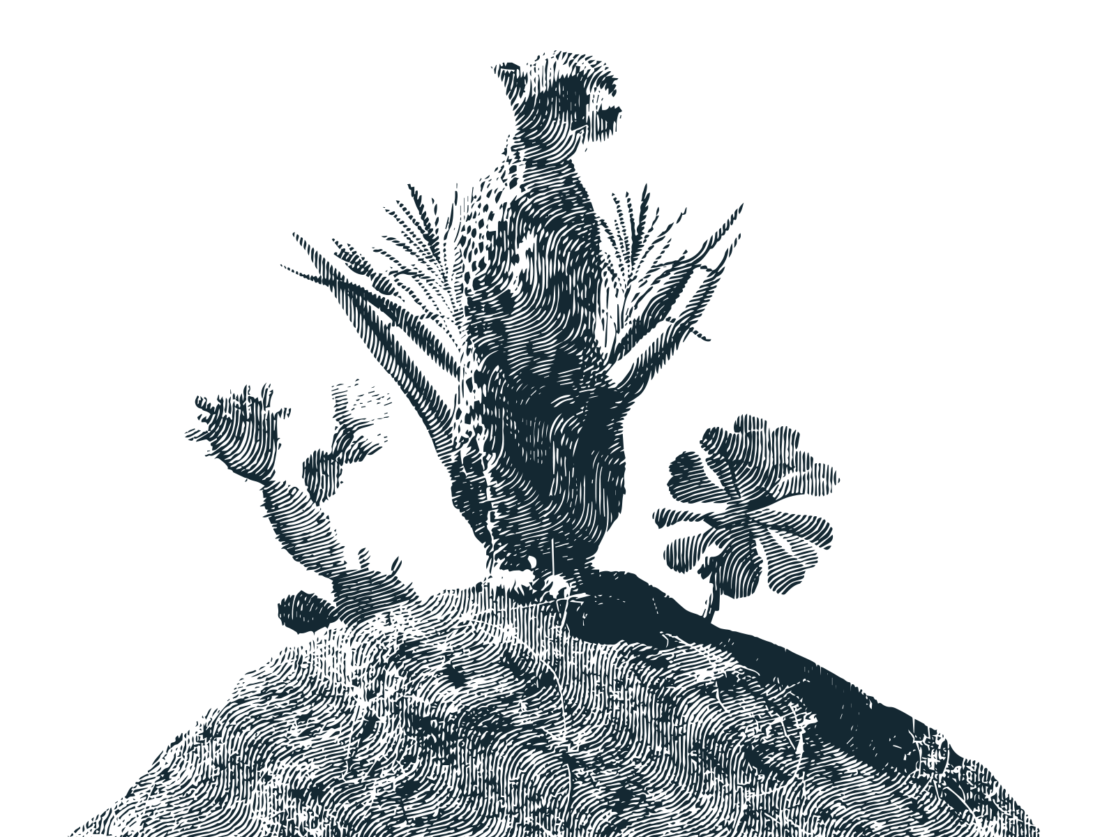 A detailed line drawing of a chameleon perched on a branch with leaves against a black background.