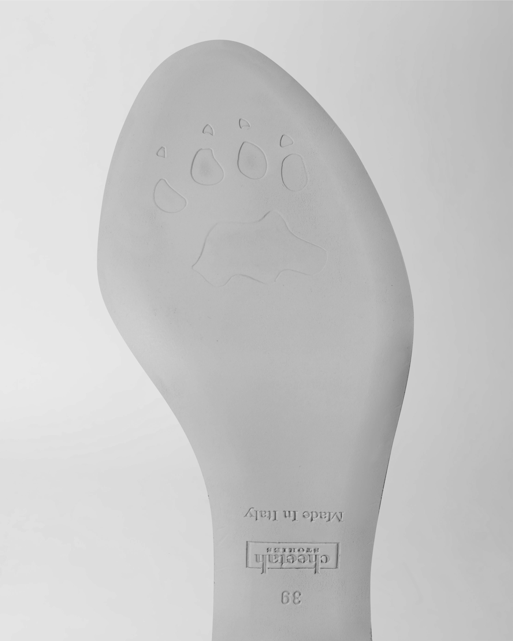 Cheetah Stories Signature Paw Print