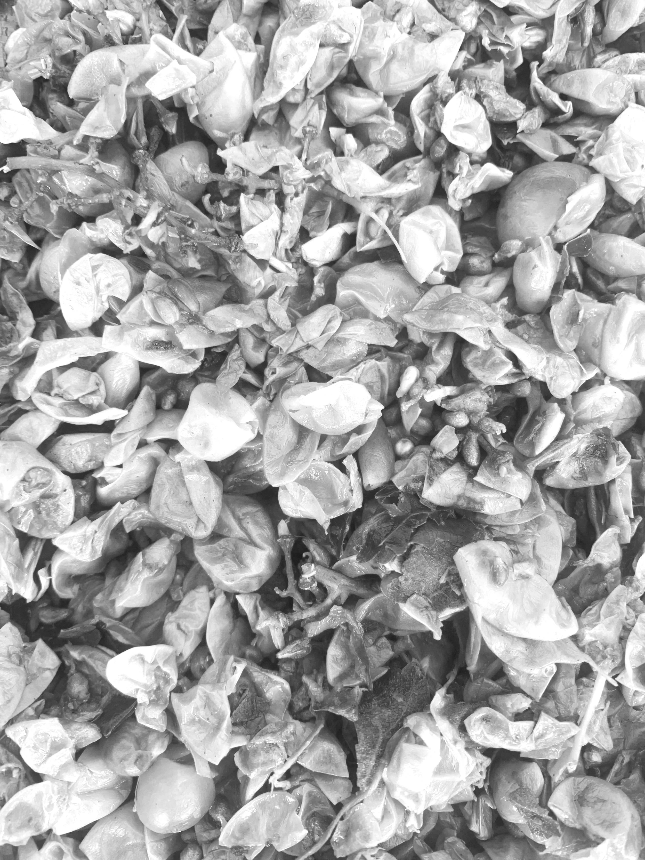 Planet of the Grapes White Grape Mark for Materials