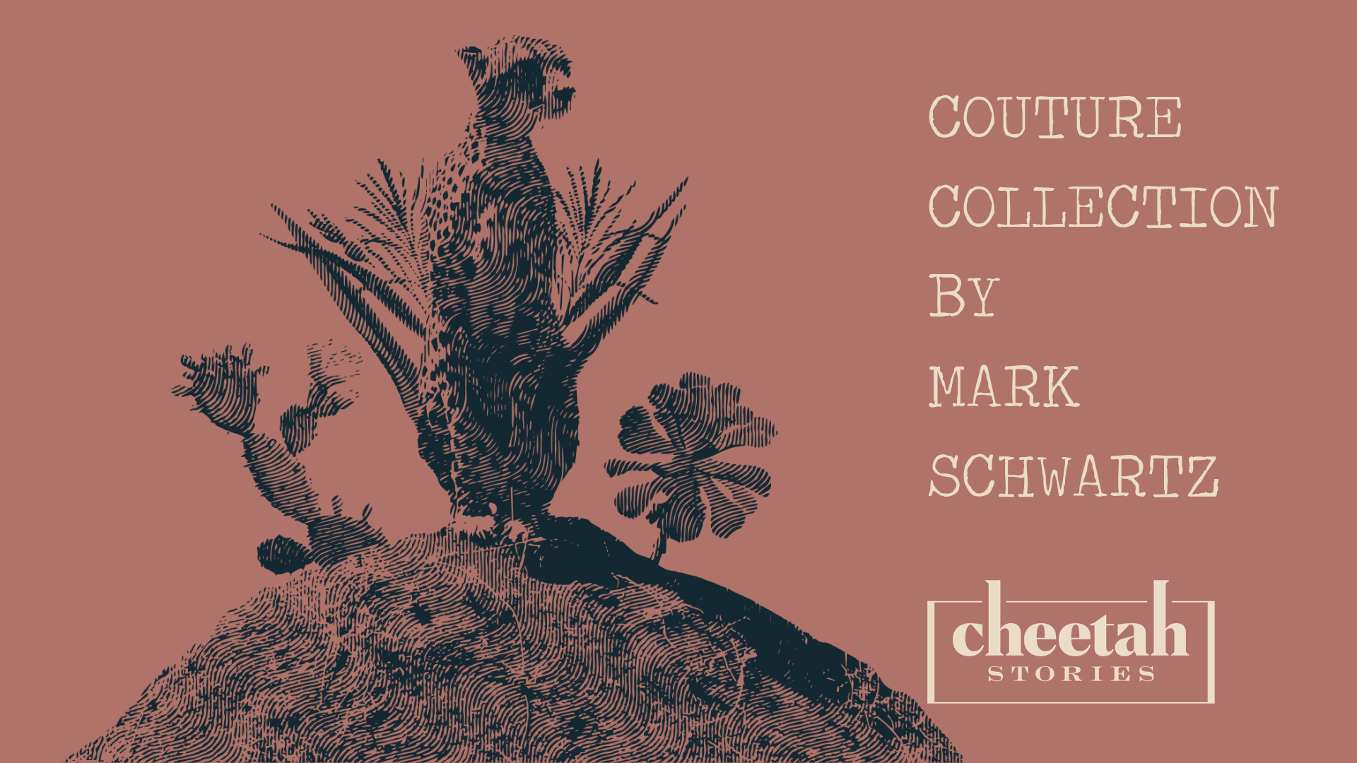 Book cover titled "Couture Collection by Mark Schwartz" with an illustration of a cheetah on an earthy pink background.