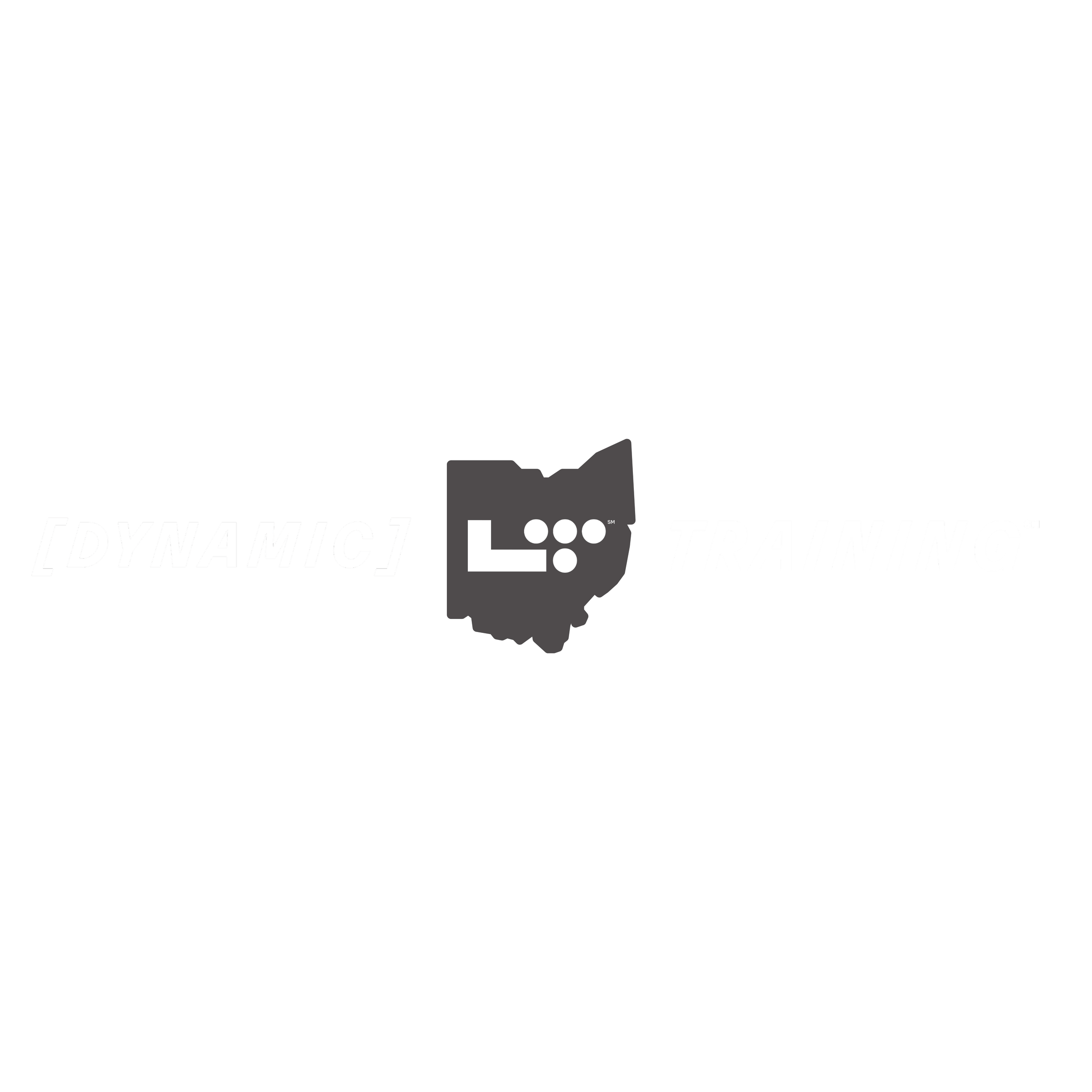 Dynamic Training: Ohio