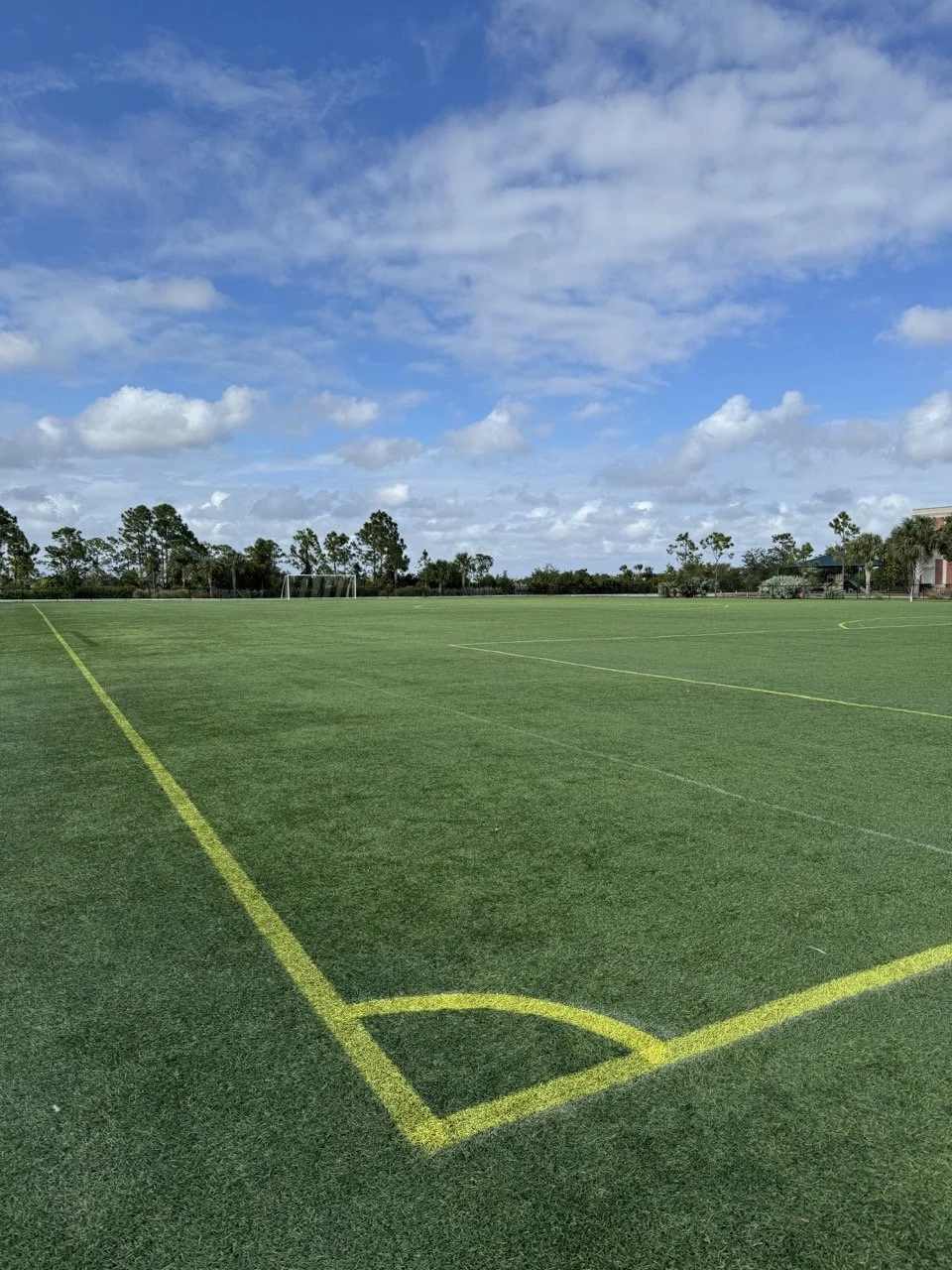 IMG_0771 2 Large.jpeg