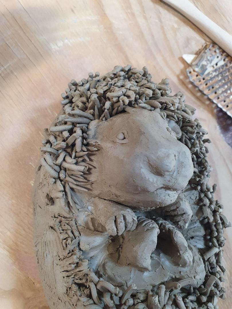 hedgehog8.jpg