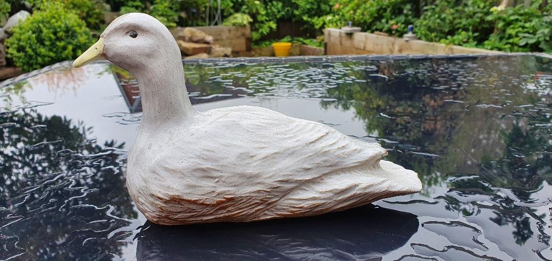 duck duck.jpg