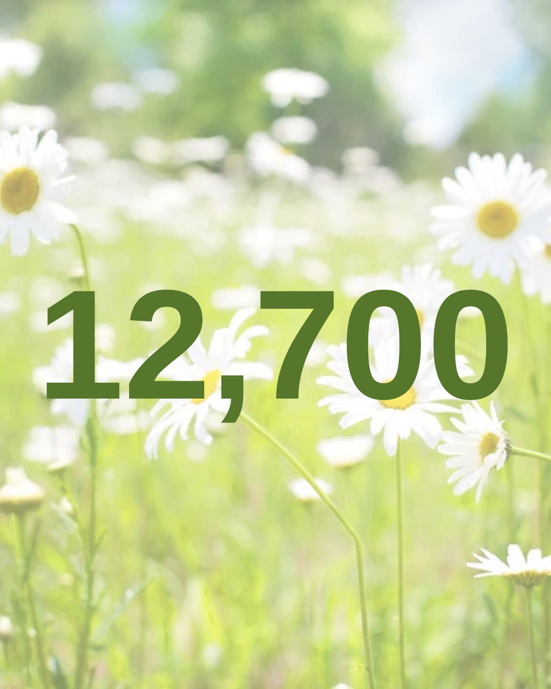 Local Cancer Patients Supported Since 2001