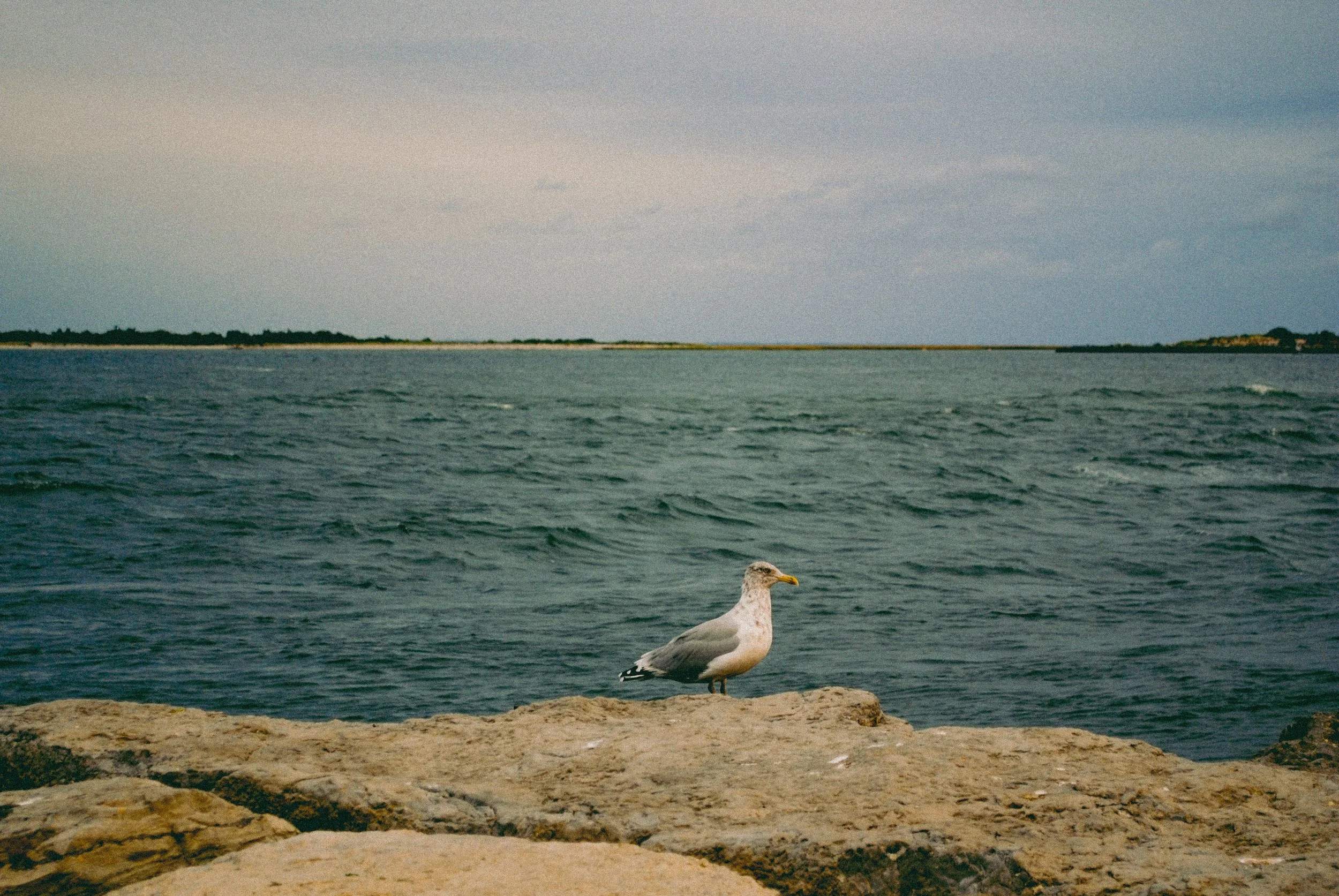 DSC_0398.jpg