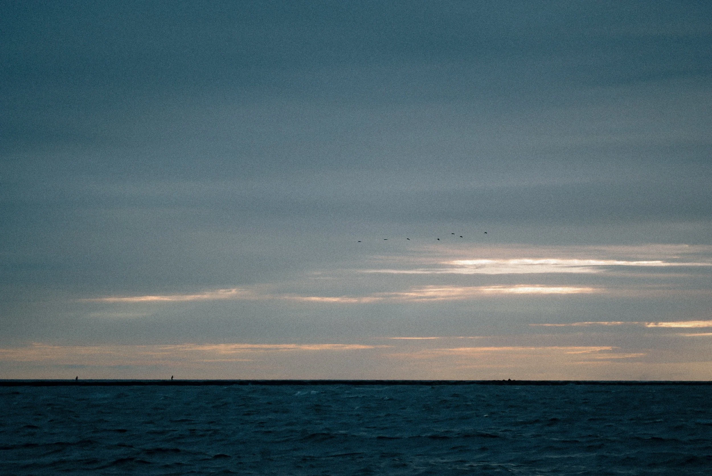 DSC_0406.jpg