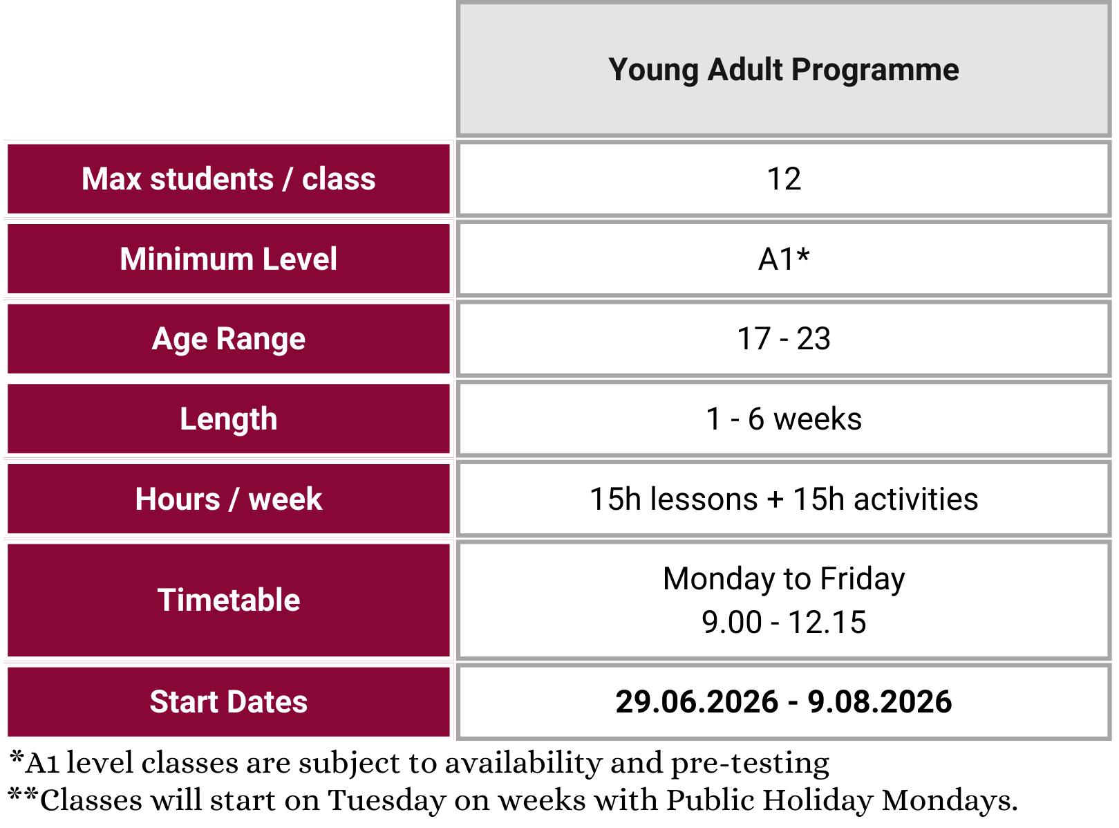Young Adult Dublin Programme