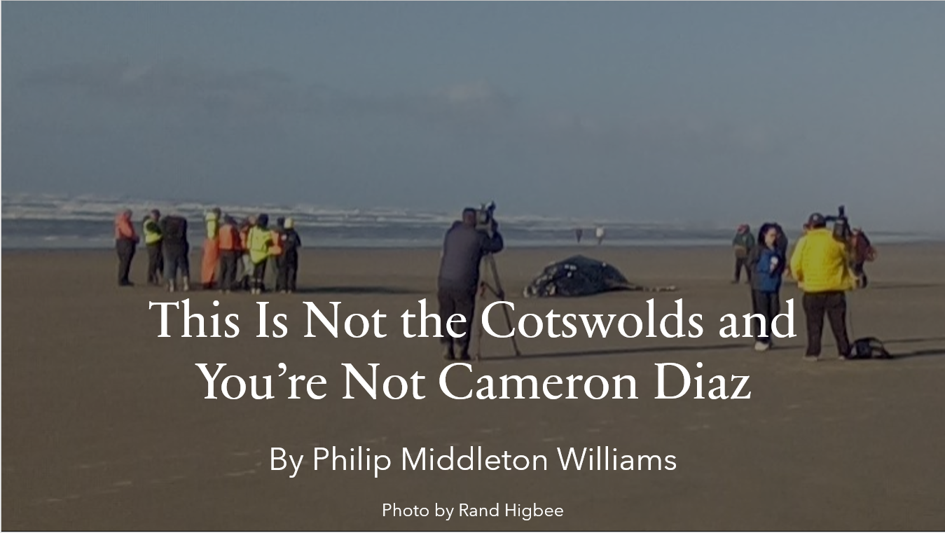 This Is Not the Cotswolds and You're Not Cameron Diaz