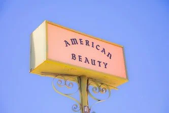 AMERICAN-BEAUTY.jpg