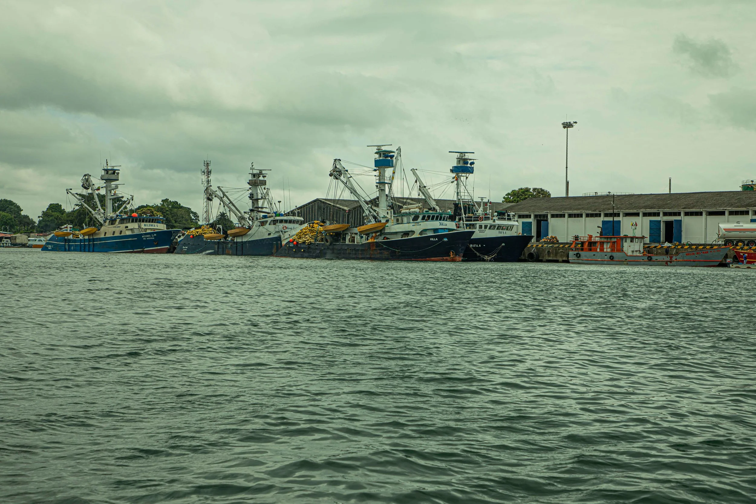 1U2A9482-1.jpg