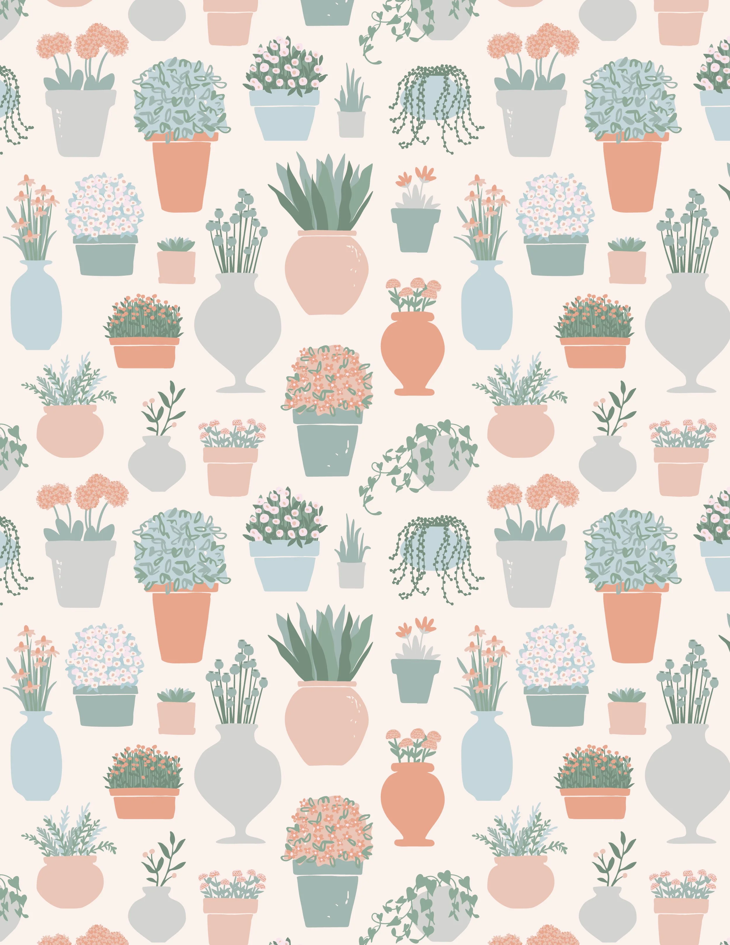 Langton_Hill_potted_plants.jpg