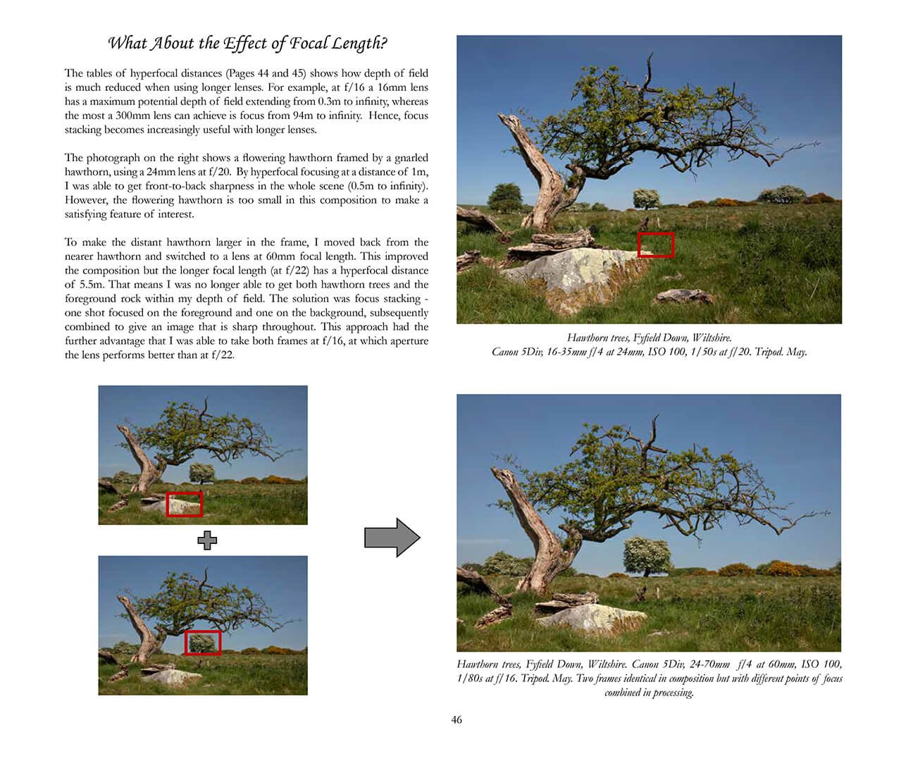 Focus stacking in landscape photography by professional photographer Robert Harvey