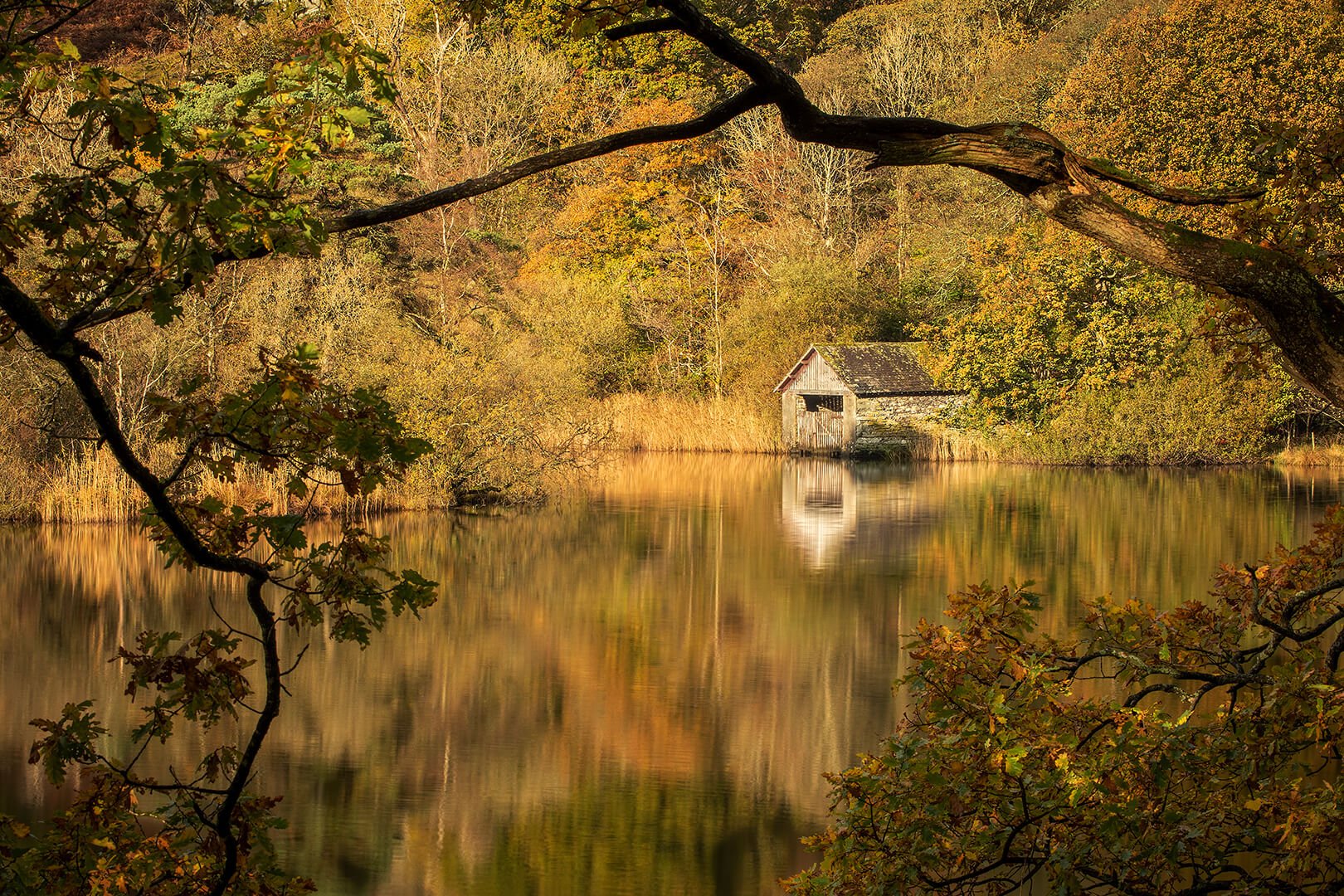 Rydal Water photographed on my Lake District in Autumn Photography Tour (Copy) (Copy)