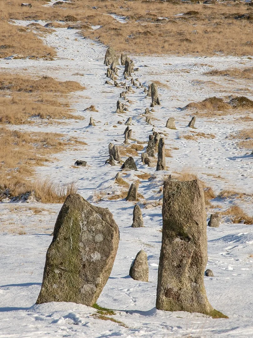 Merrivale Stone Rows — Natural World Photography