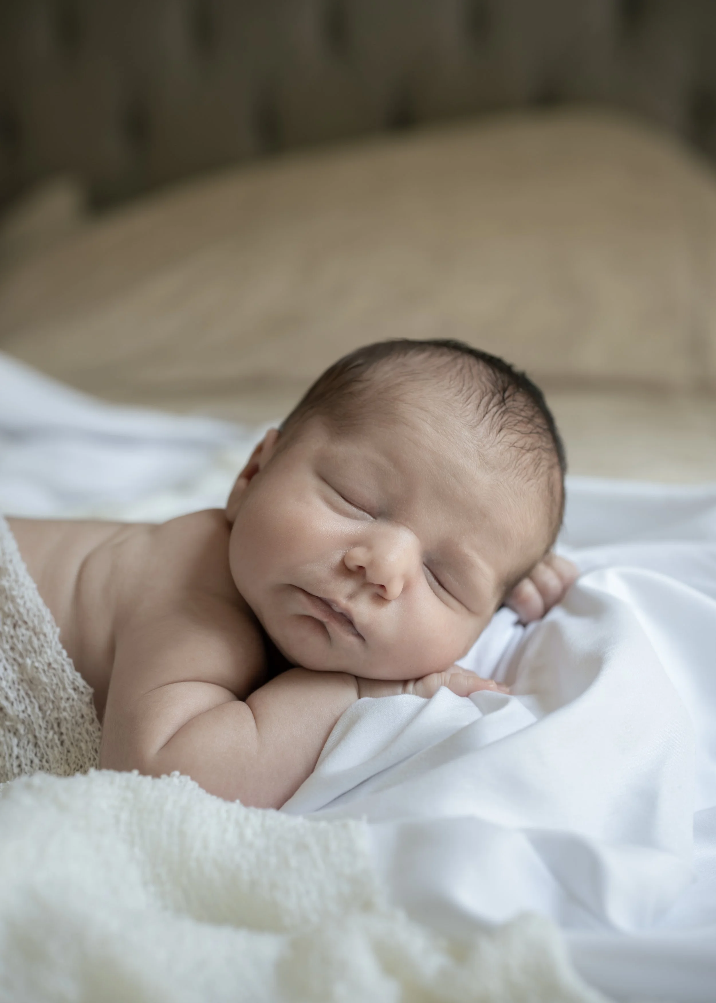 Jude-One Dollar Baby- 2.jpg
