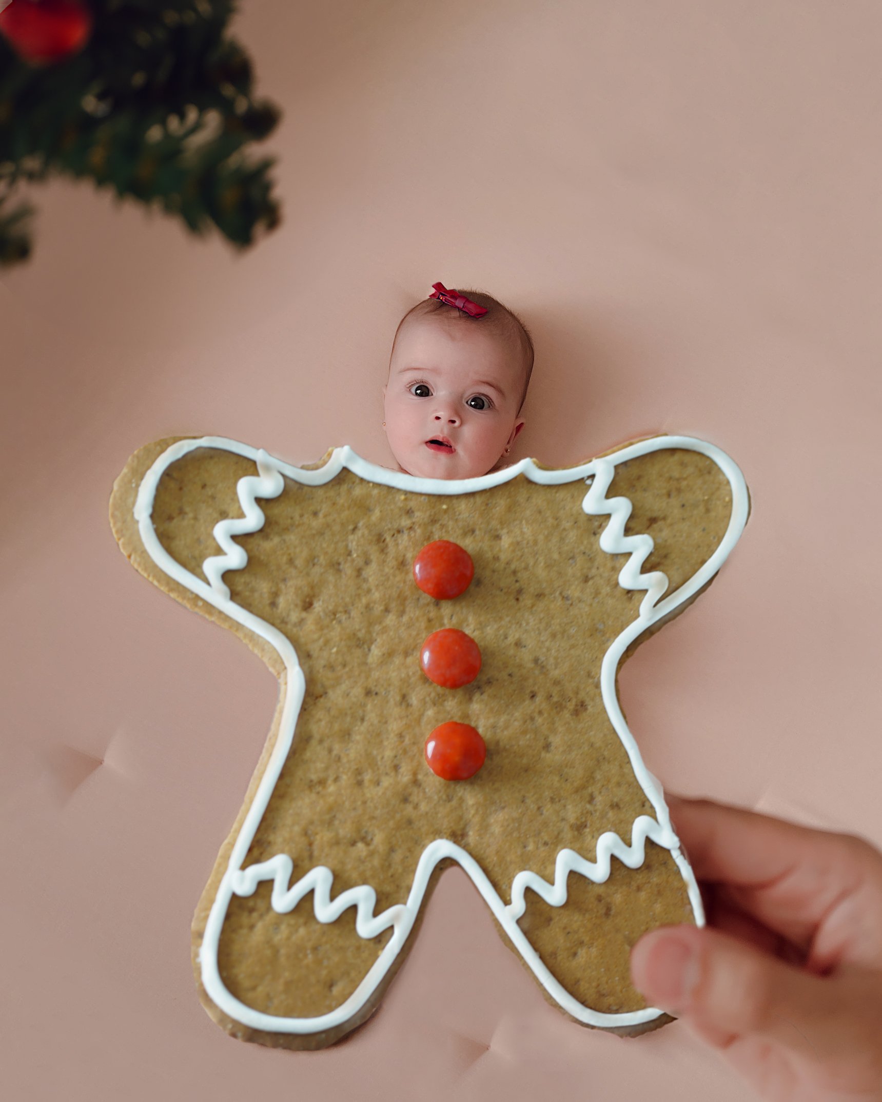 gingerbread photo final 2.jpg