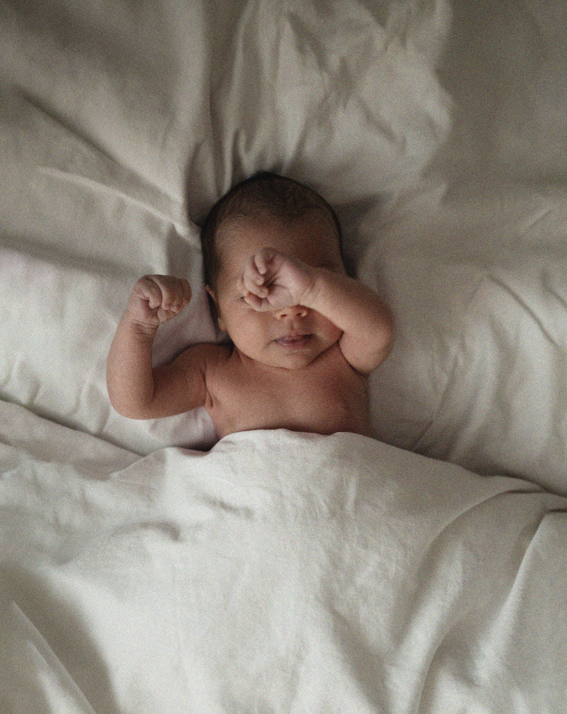 Newborn | Fresh 48