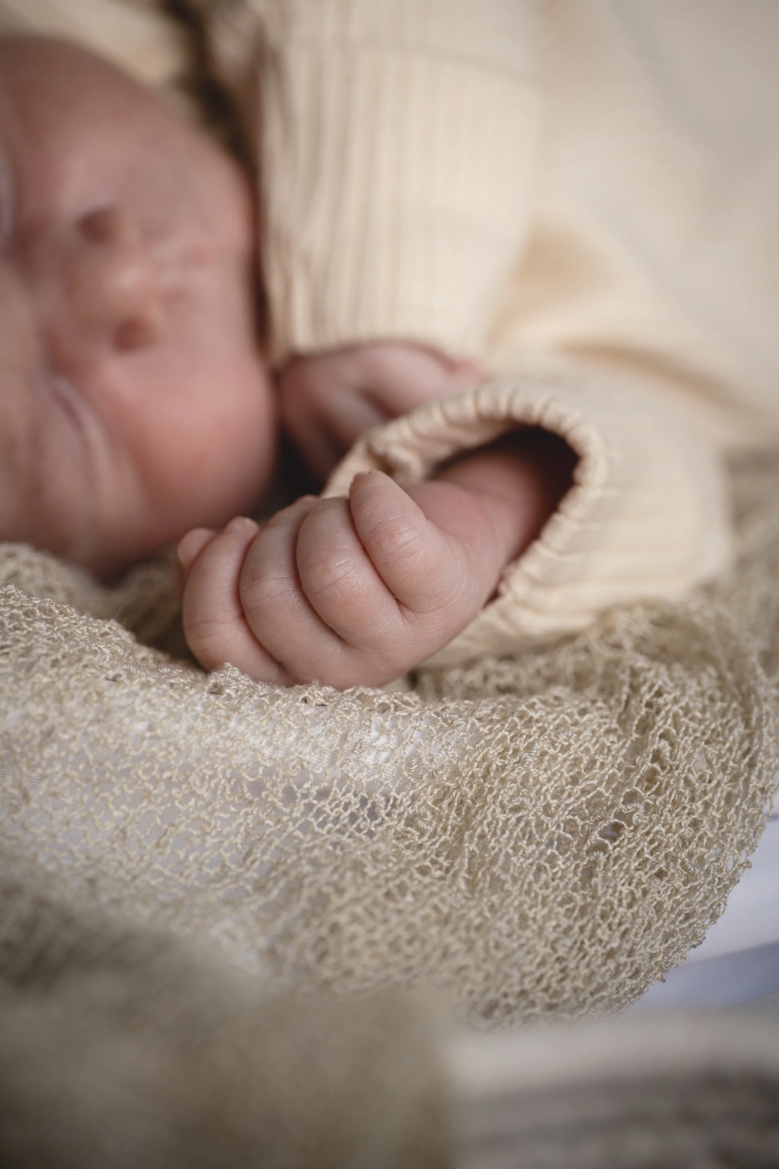 Jude-One Dollar Baby- 5.jpg