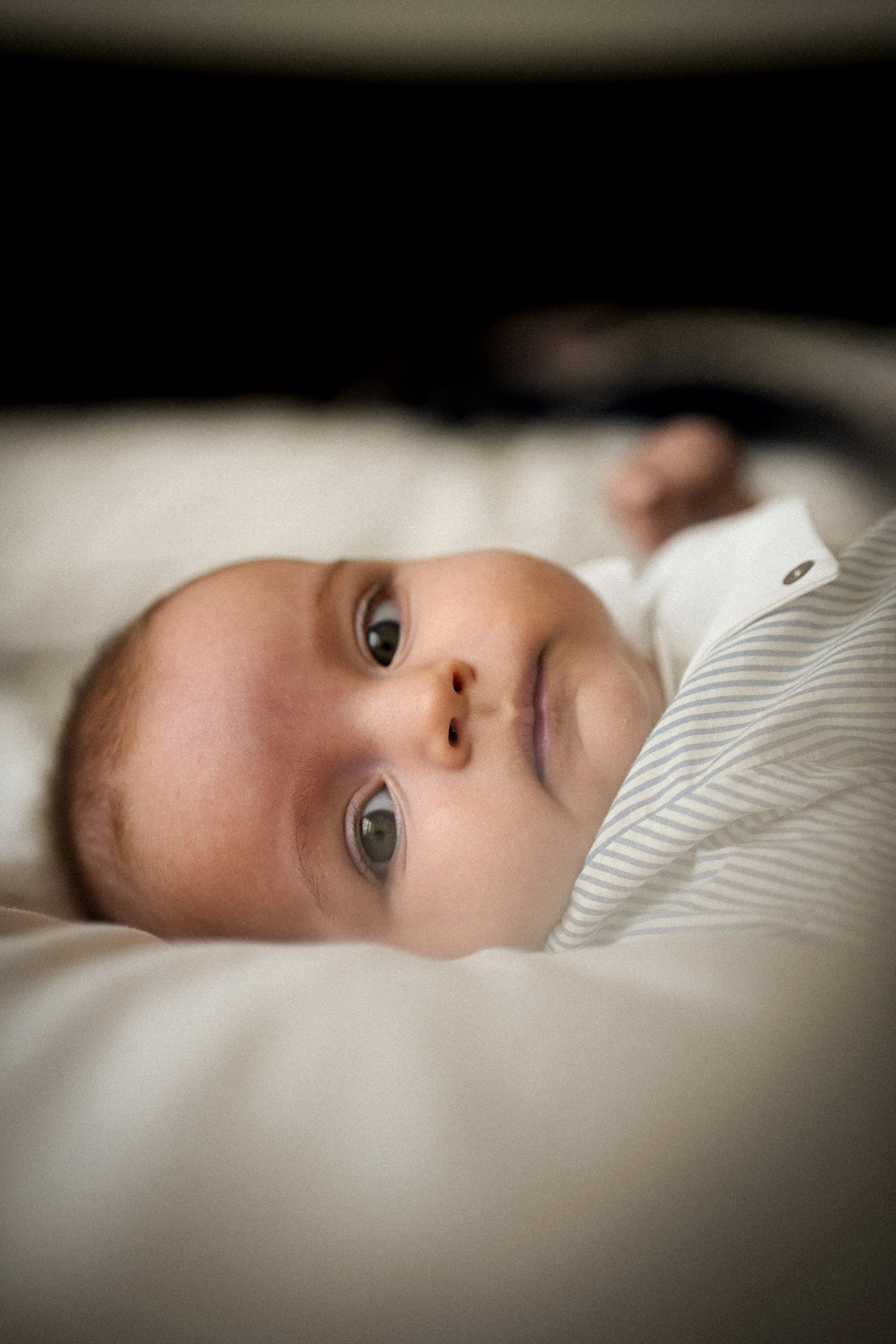 Leon 4 months.jpg