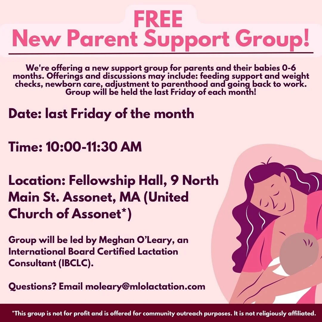Join me and other parents on the last Friday of each month to share your challenges, successes, and address topics you may need support with during this transition to parenthood. I&rsquo;ll have my scale on hand as well so we can check your baby&rsqu