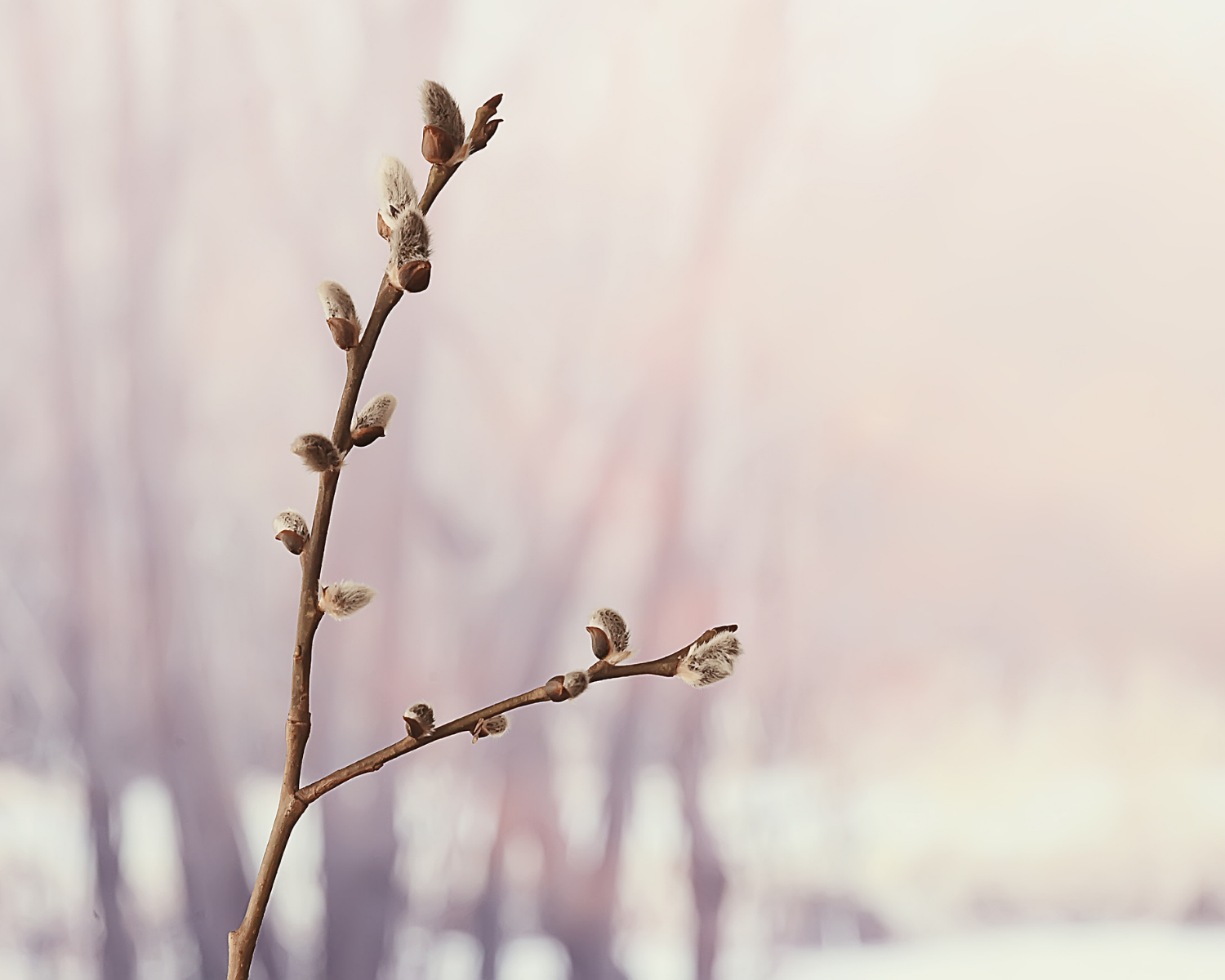 Best Therapists Michigan, The Flourishing Collective, Accepting New Clients Michigan, Online Therapy, Relationship Problems, Therapy, Psychotherapy, Michigan