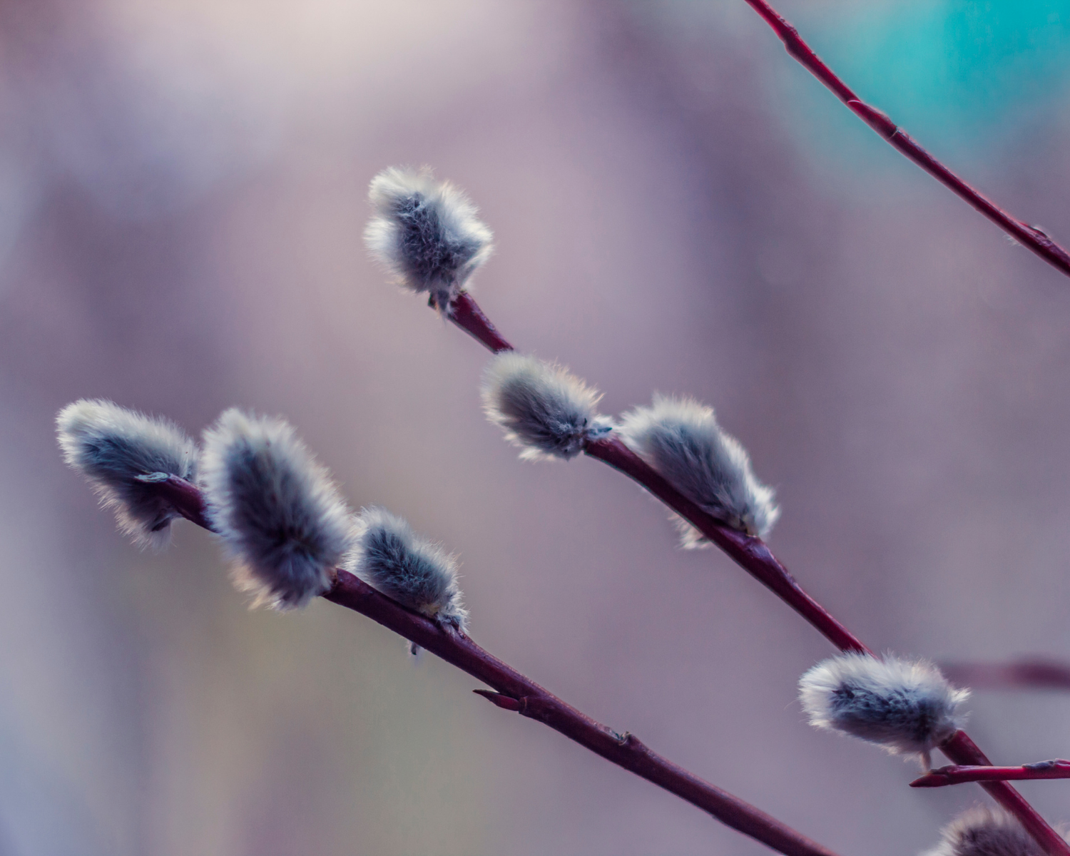 Best Therapists Michigan, The Flourishing Collective, Accepting New Clients Michigan, Online Therapy, Relationship Problems, Therapy, Psychotherapy, Michigan, best grief therapists in michigan, grief and loss michigan