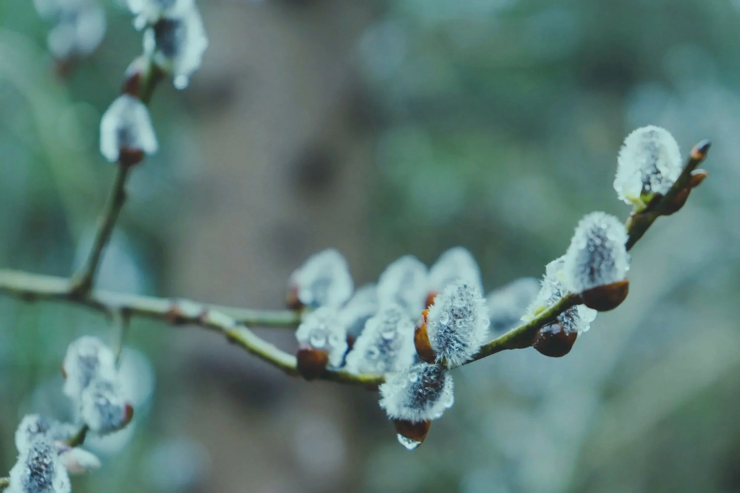 Compassionate women’s mental health therapy for women and girls across every stage of life in Michigan