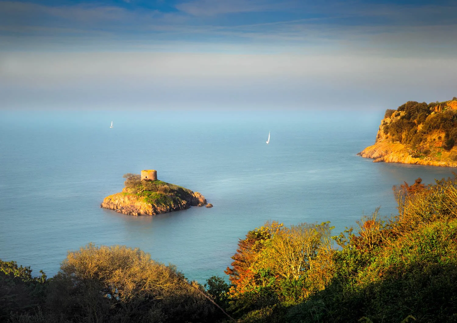 Summer Bay Jersey 2024 04-169-2.jpg