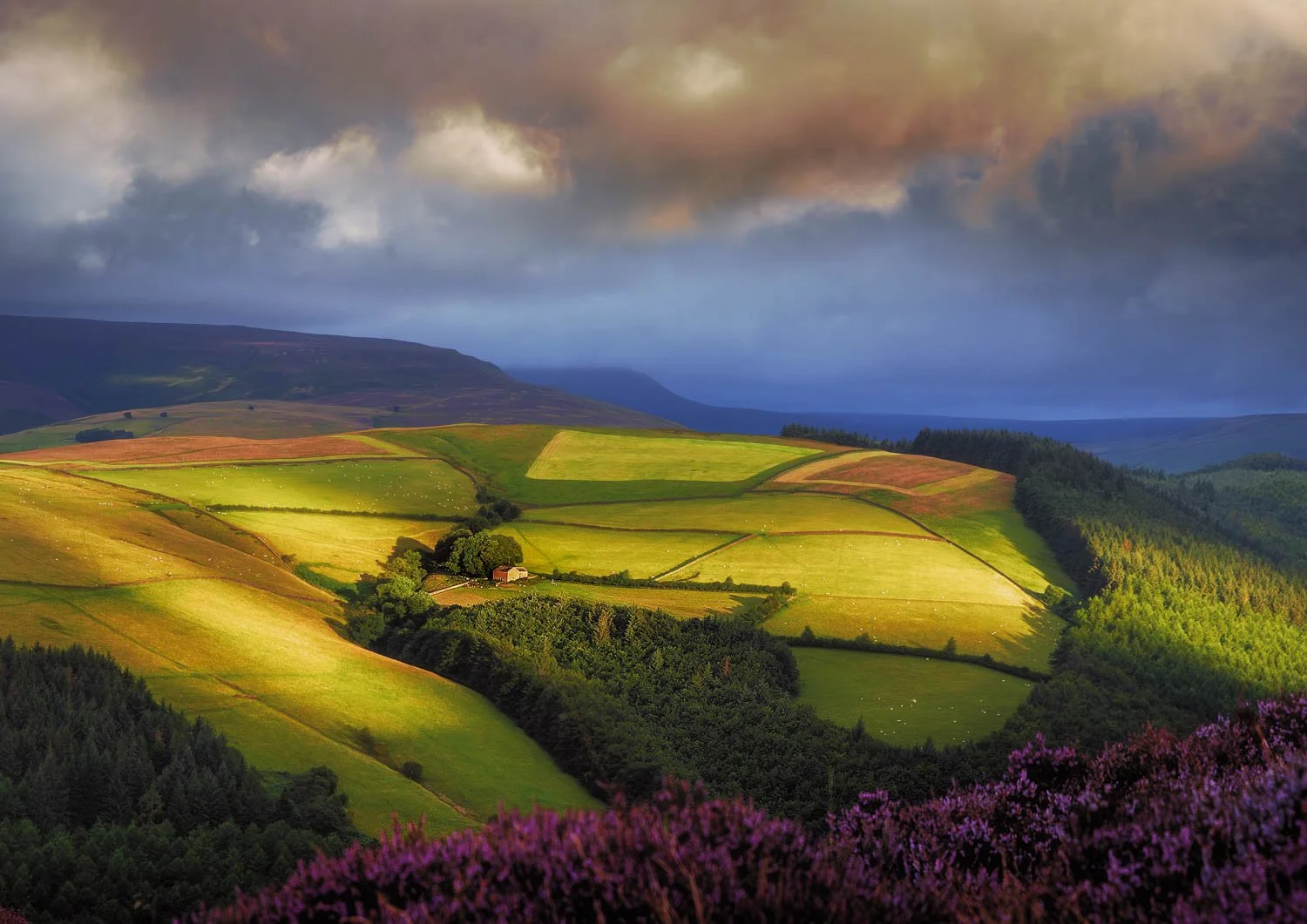 Frarm the Hill Derwent Edge 2023 08-1.jpg