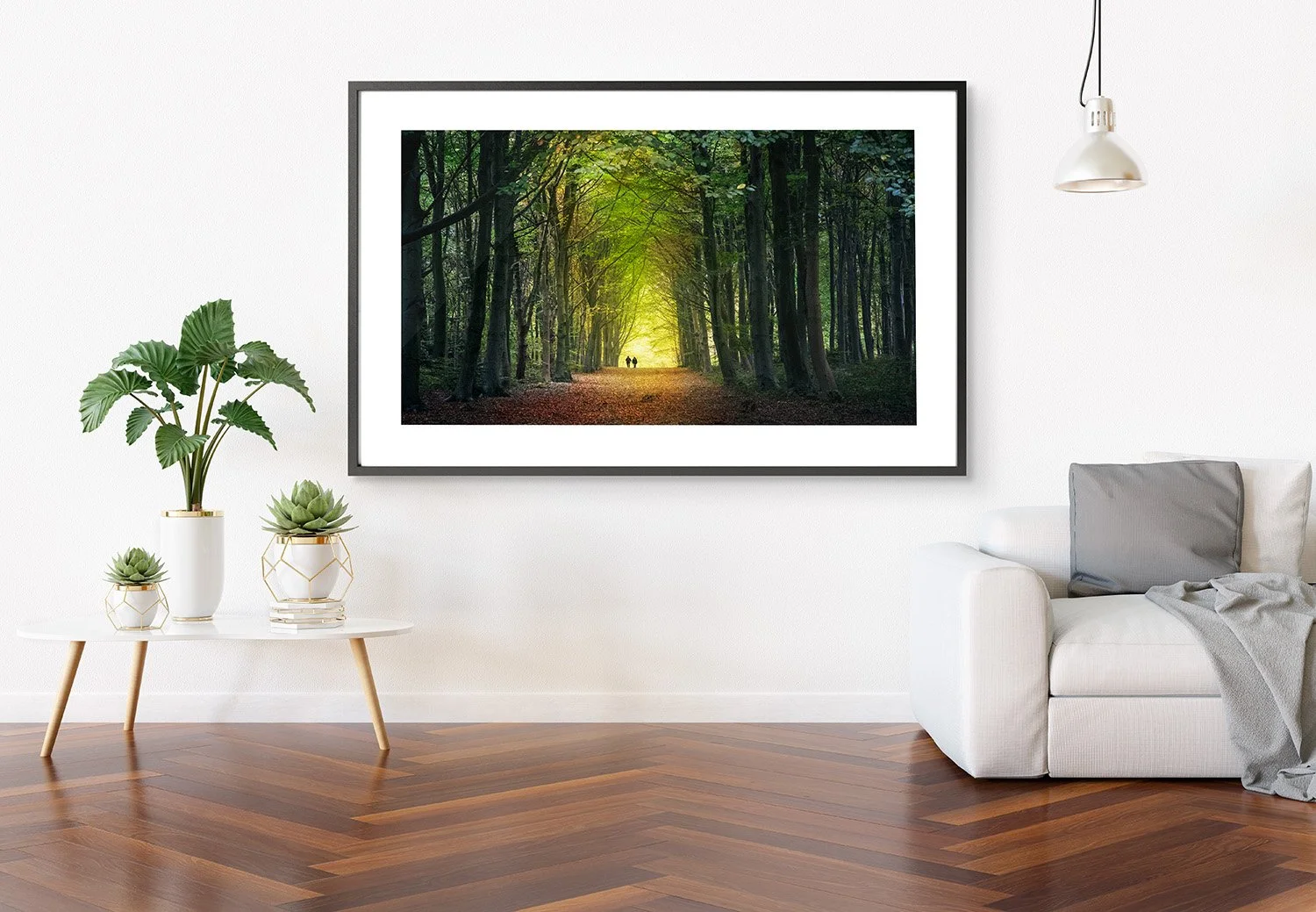 The Forest Corridorframe .jpg