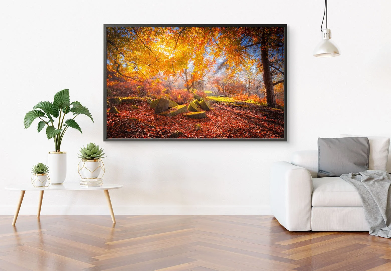 Autum Glow Room1.jpg