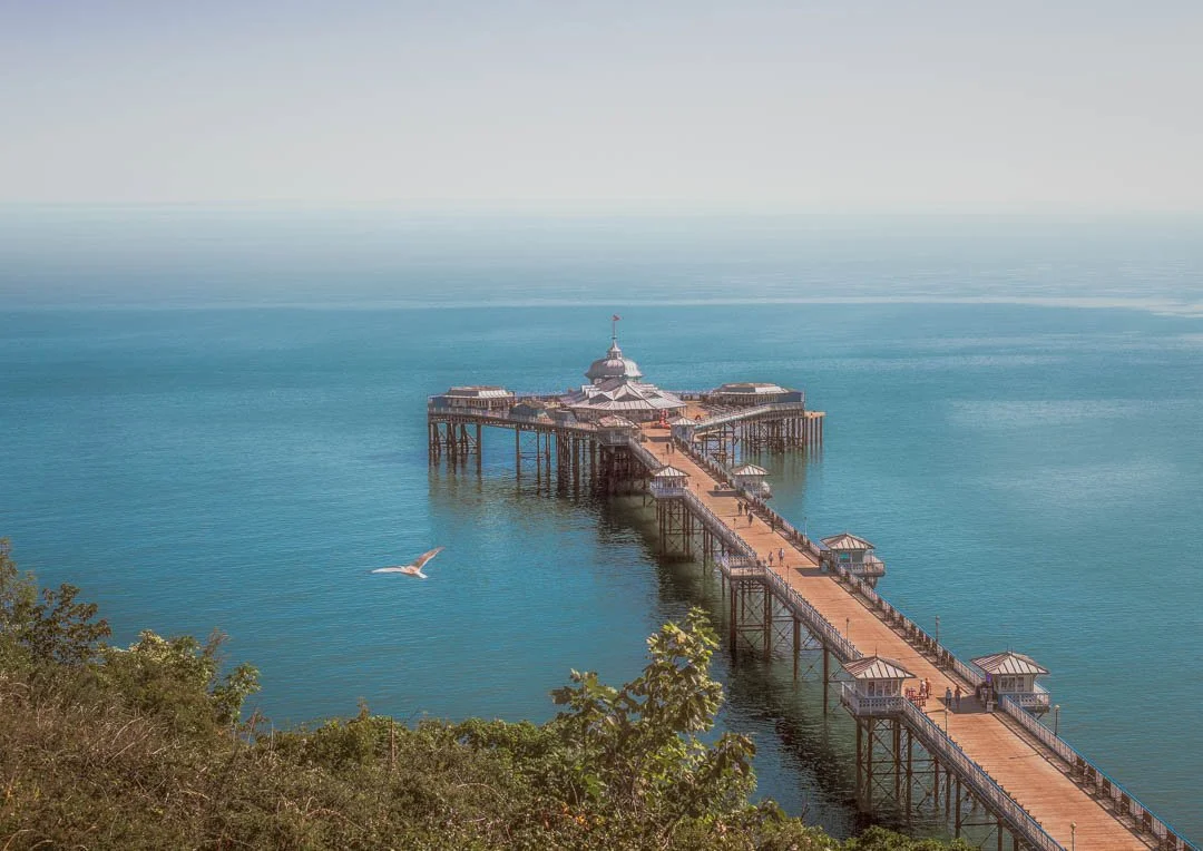 Seagull in Flight Over Sunlit Pier. Llanduduo Pier 2025 07-210-Edit-2-Edit.jpg